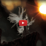 Rawkfist - Keep Hope