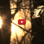 America - The Last Unicorn