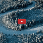 Ereb Altor - Midsommarblot