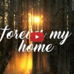 Nightwish - My Walden