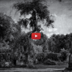 Rawkfist - Gardens Of Elysia